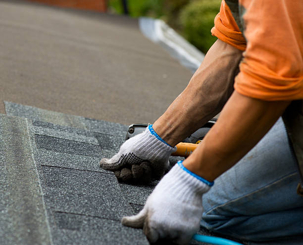 Sealant for Roof in Puyallup, WA